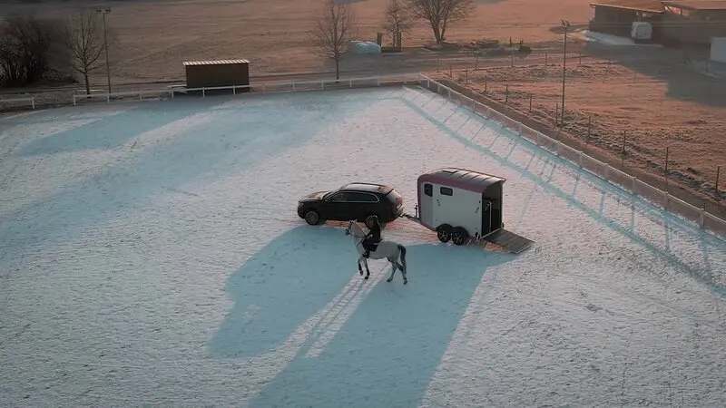Vista aerea del carico di un cavallo sulla rampa posteriore di un Humbaur Areion