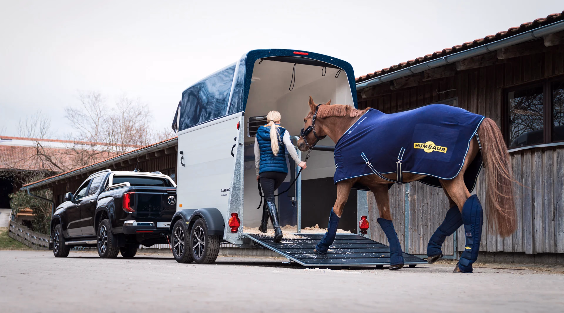 Trailer per trasporto cavalli Humbaur Areion Pure e modelli professionali in esposizione a Colleferro da Roma Trailer.